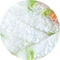 01 weiß-hellgrün-calendula