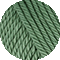 102 eucalyptus