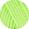 107 fresh lime