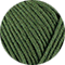 52 grünes blatt
