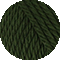 096 algengrün