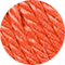 2019 coral