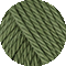 097 kaktus