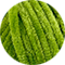 145 frisches grun